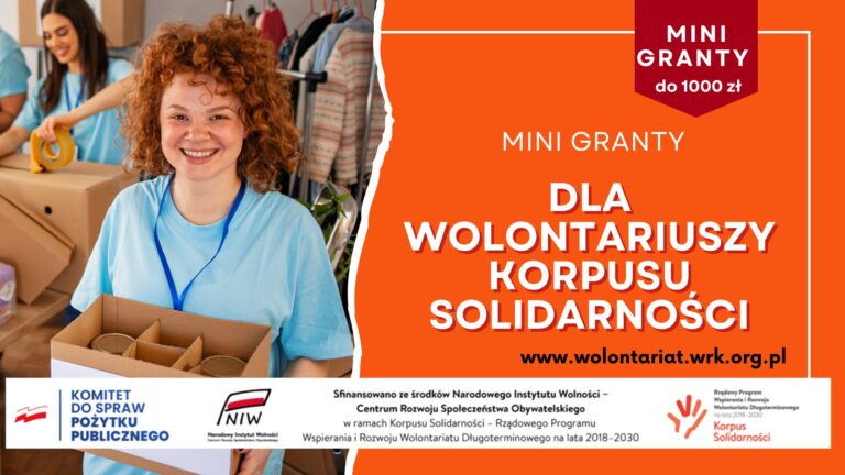 Read more about the article Minigranty dla wielkopolskich wolontariuszy
