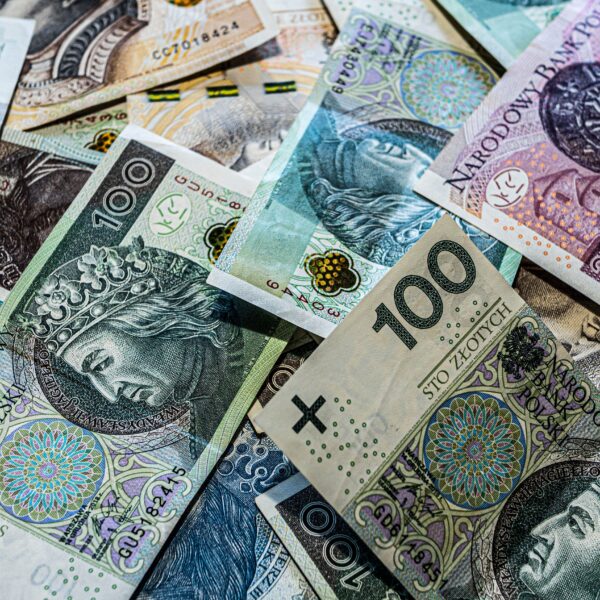 Dofinansowane staże w NGO – dwa spotkania online!
