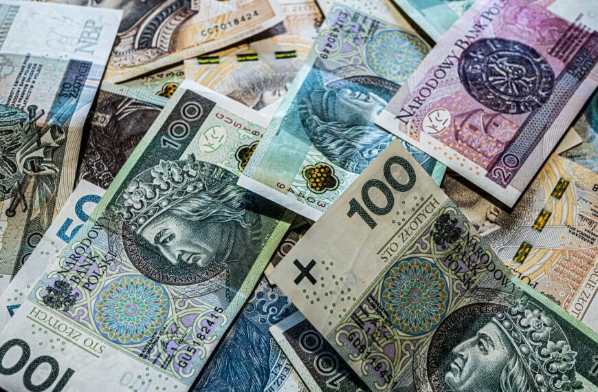 Dofinansowane staże w NGO – dwa spotkania online!