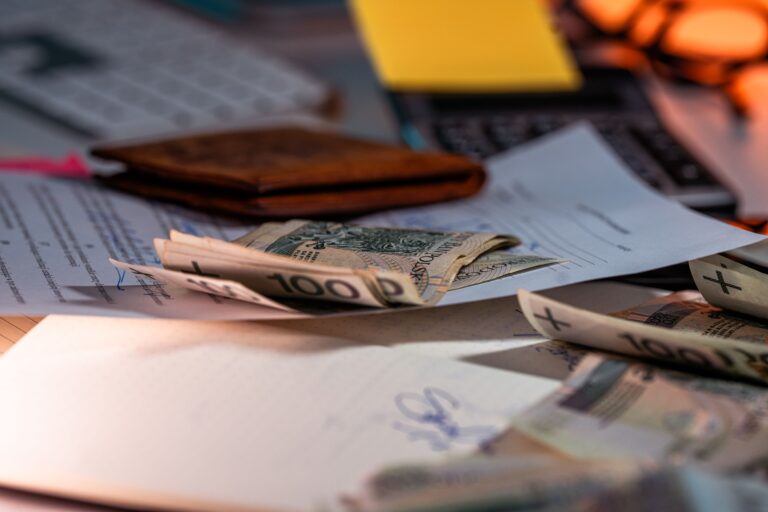 Read more about the article Zapraszamy na spotkania online – finansujemy staże w NGO!